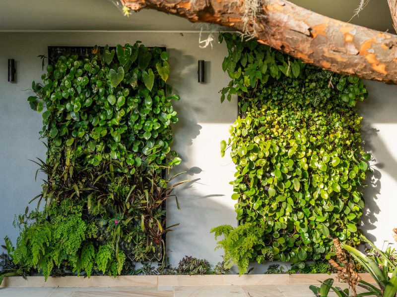 Eco Panel