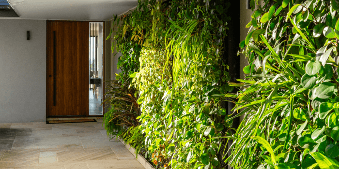 GREENWALLS - The Greenwall company