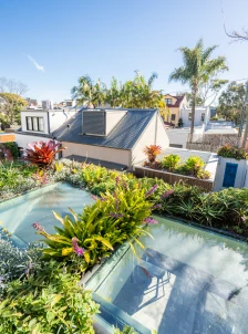 Greenroof Portrait 1