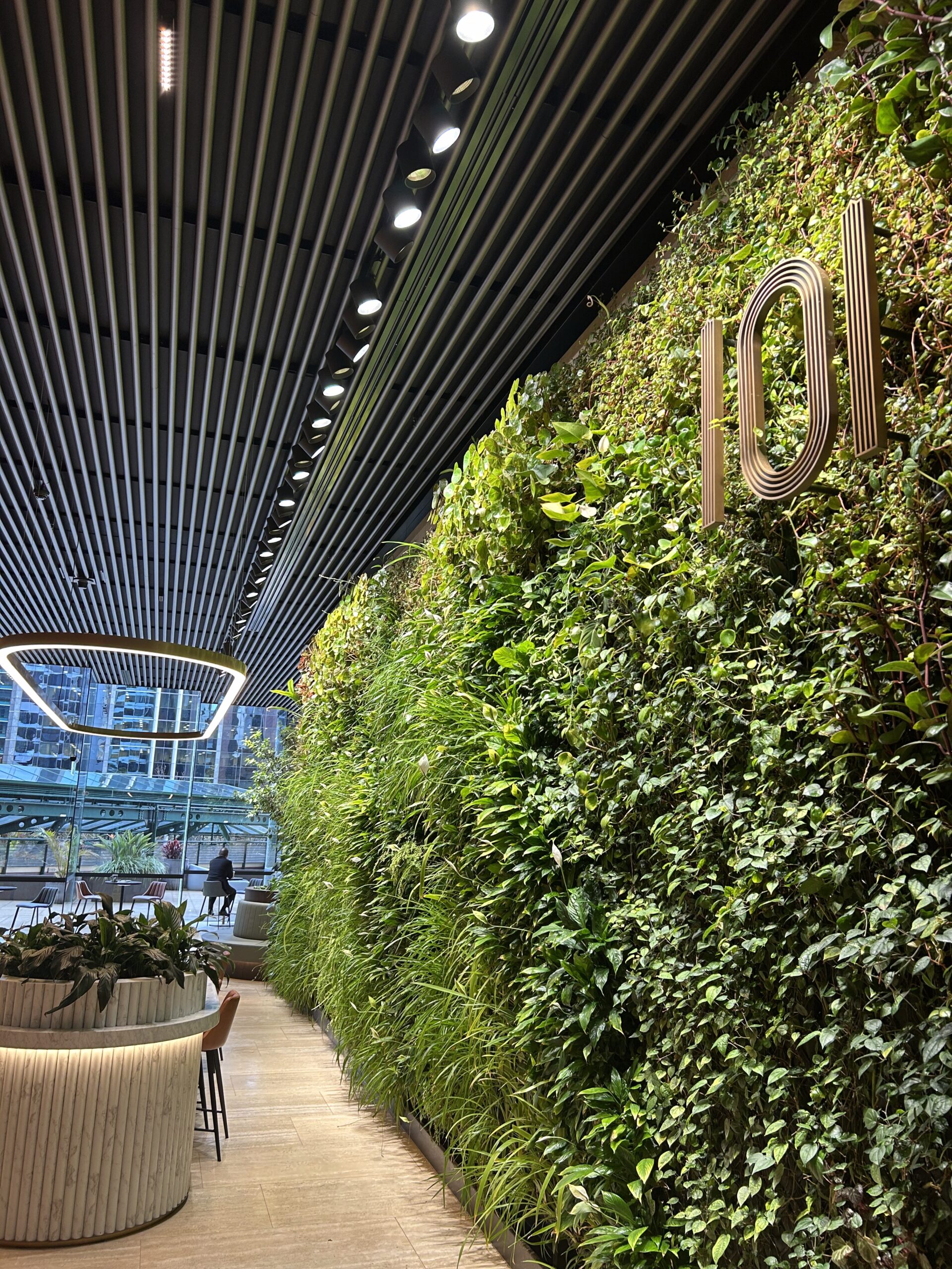 20250819_041539594_iOS