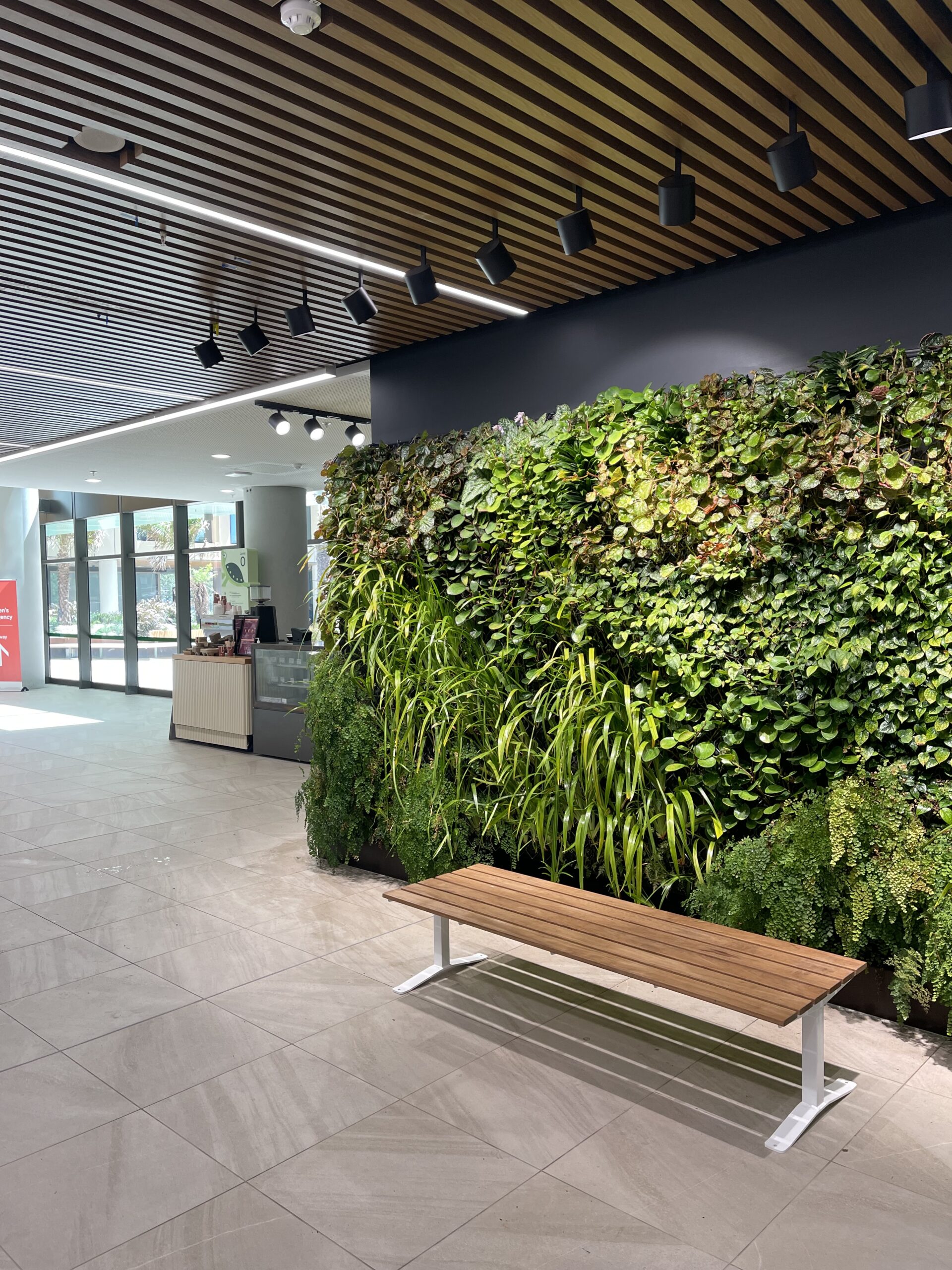 Indoor lobby with a tall green vertical garden wall, wooden slat ceiling, and a wooden bench in the foreground.