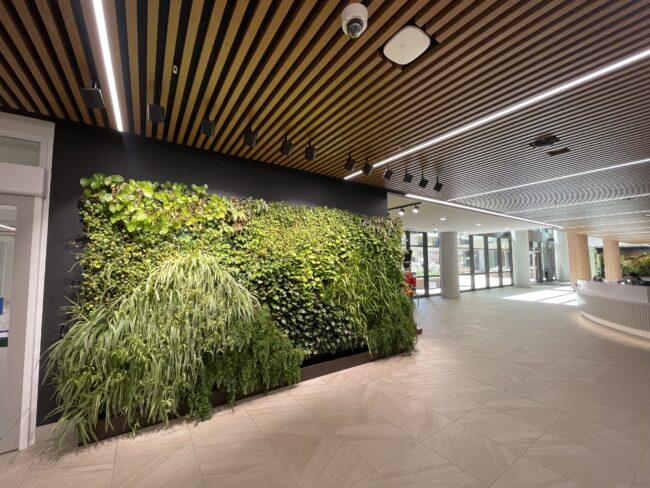 Indoor lobby with a vertical green plant wall along a black wall, under a wooden slat ceiling and track lighting.